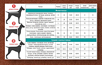 ТАБЛИЦА РАЗМЕРОВ ДЛЯ РАЗНЫХ ПОРОД.
